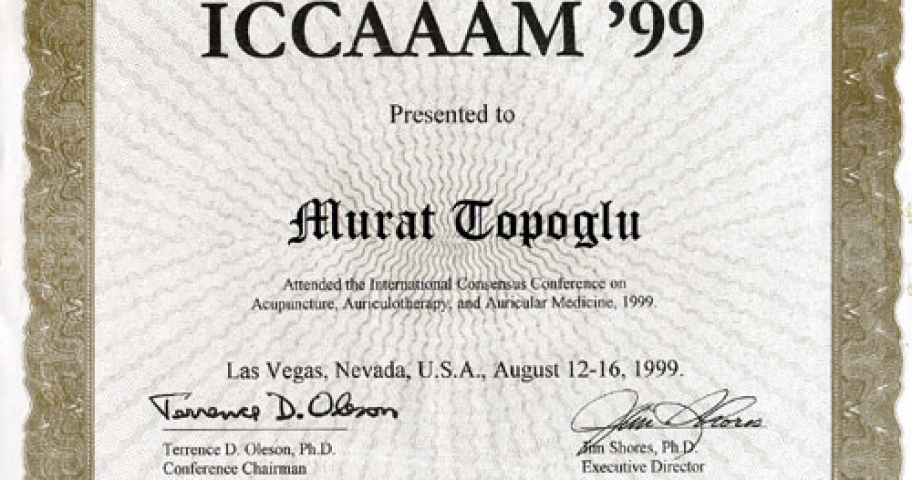 Dr. Murat Topoglu - Diploma 01