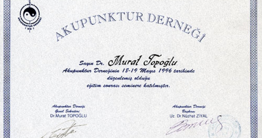 Dr. Murat Topoglu - Diploma 03