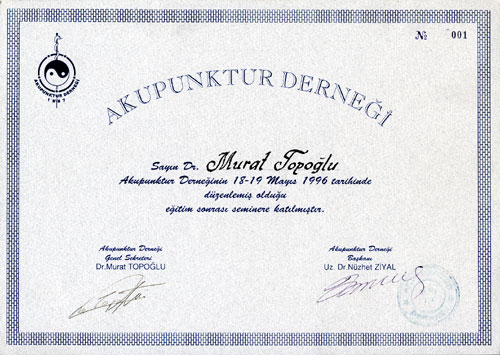 Dr. Murat Topoglu - Diploma 03