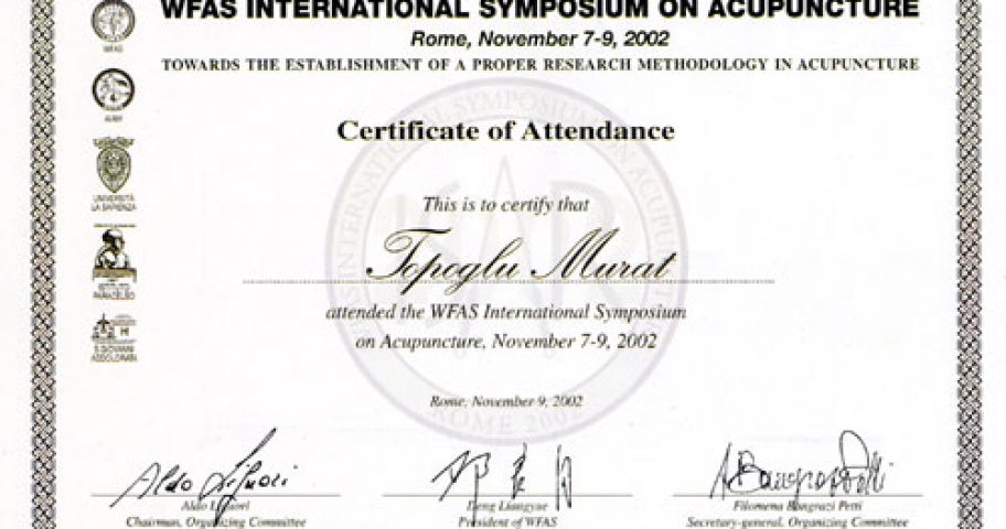 Dr. Murat Topoglu - Diploma 09