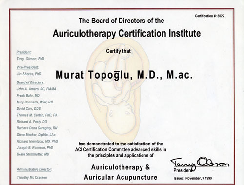 Dr. Murat Topoglu - Diploma 11