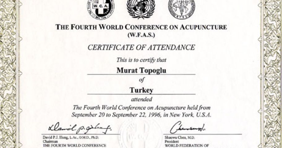 Dr. Murat Topoglu - Diploma 13