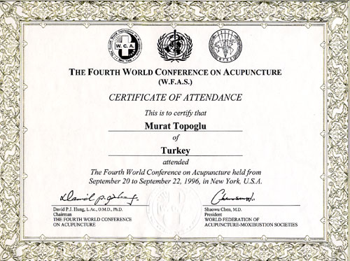 Dr. Murat Topoglu - Diploma 13