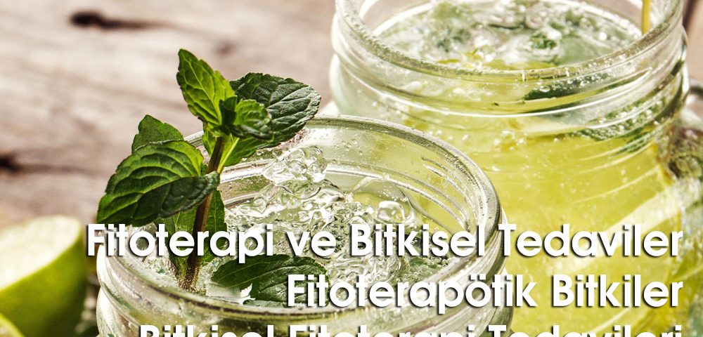 Fitoterapi ve Bitkisel Tedaviler