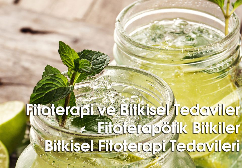 Fitoterapi ve Bitkisel Tedaviler